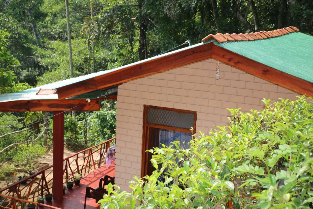 Hidden Slope Cottage إيلا المظهر الخارجي الصورة