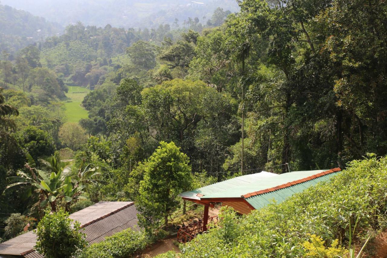Hidden Slope Cottage إيلا المظهر الخارجي الصورة